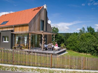 Holzfassade Lärche natur - senkrechte Montage