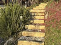 Eichenstiege Au&szlig;enbereich 